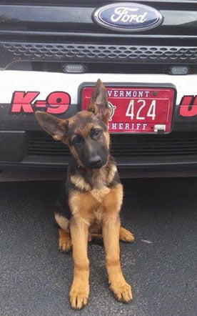 - Kimtek Corporation K9 Kilo
