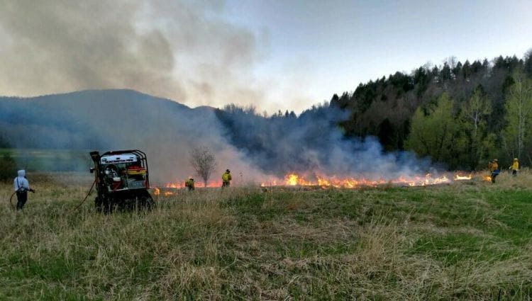 Protecting Crops, Livestock, & Property During Fire Season