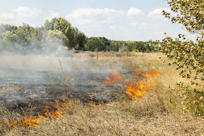 Grass fire in a rural area.